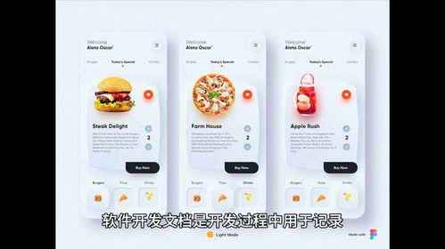 軟件外包開發的開發文檔